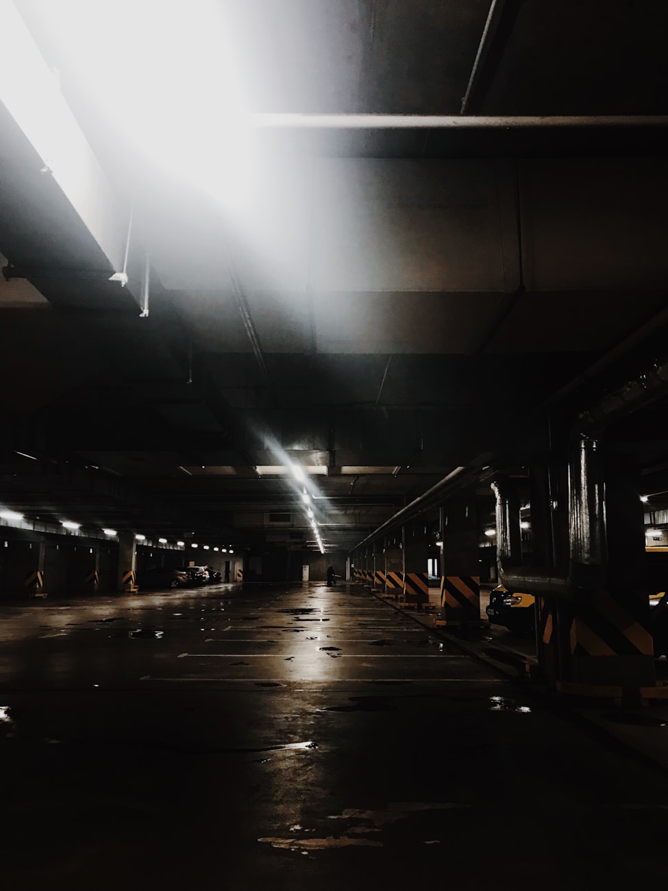 紅色龍魚的投資回報率高嗎？ 紅色龍魚的投資回報率高嗎？ 龍魚百科 第1張