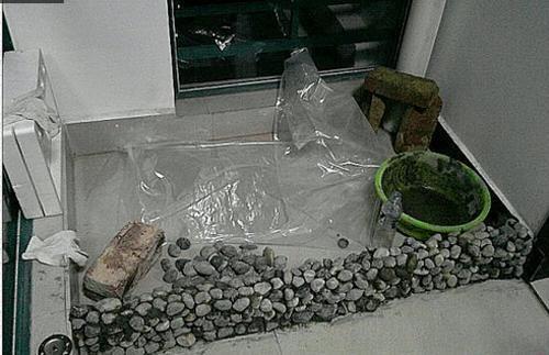 萊西市鼎潤海水族館（萊西市鼎潤海水族館電話）