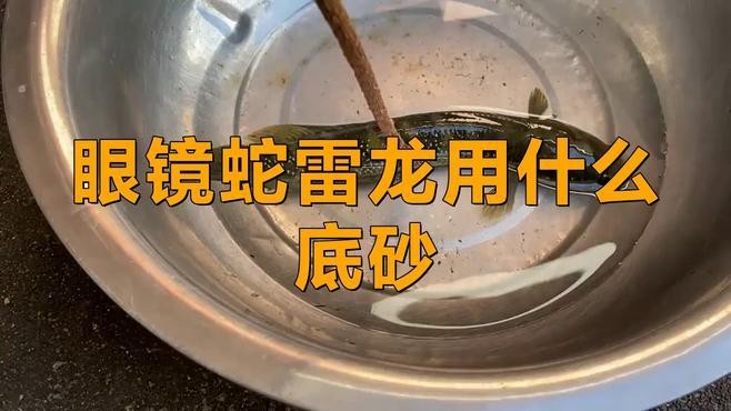 龍魚缸的底砂選擇 龍魚缸的底砂選擇 龍魚百科 第15張