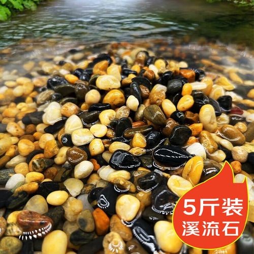 龍魚缸的底砂選擇 龍魚缸的底砂選擇 龍魚百科 第7張