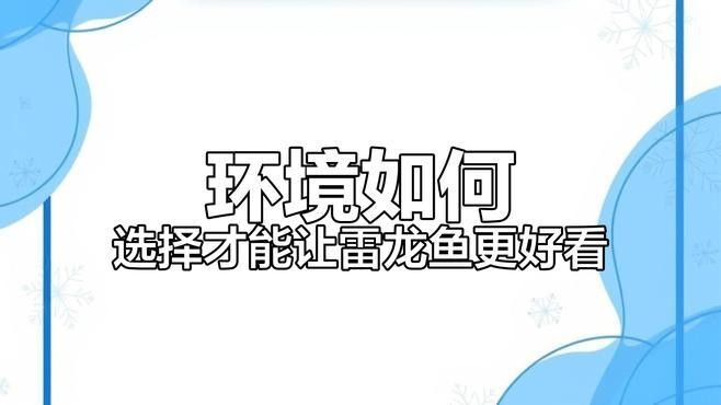 龍魚缸的底砂選擇 龍魚缸的底砂選擇 龍魚百科 第12張