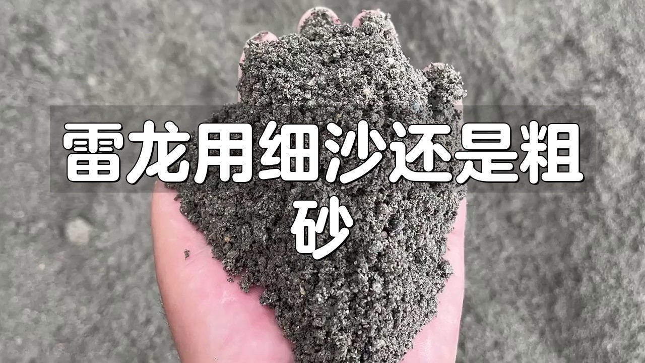 龍魚缸的底砂選擇 龍魚缸的底砂選擇 龍魚百科 第14張