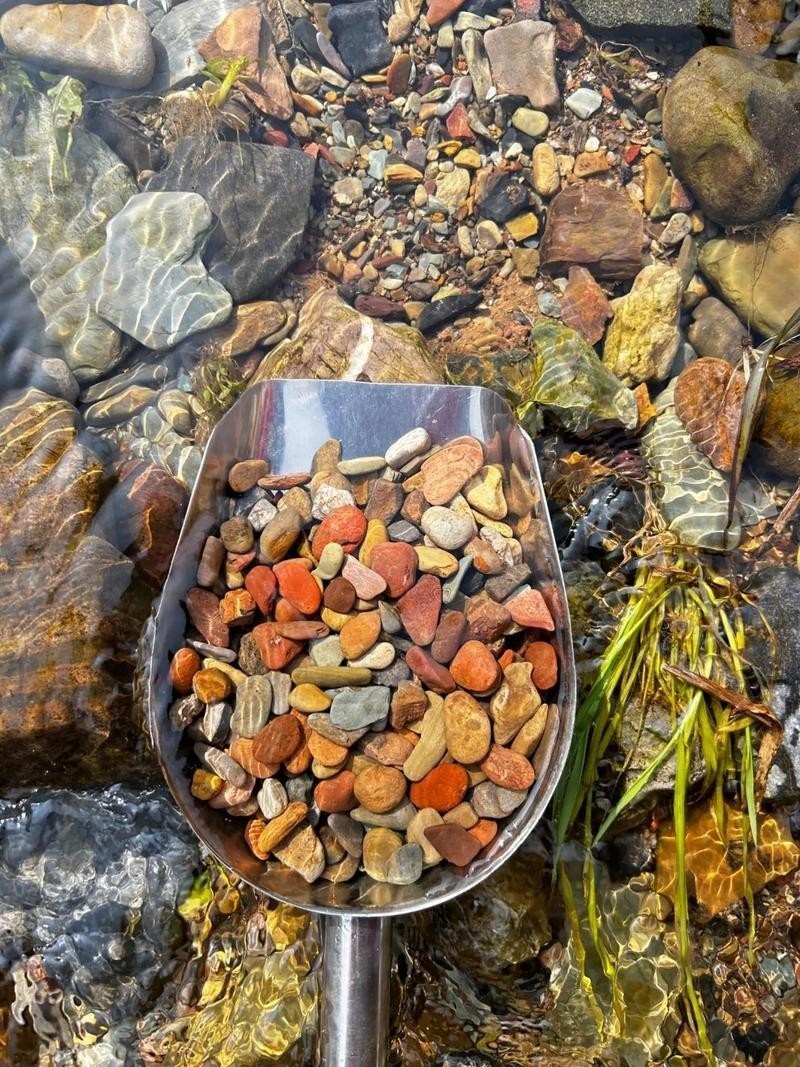 龍魚缸的底砂選擇 龍魚缸的底砂選擇 龍魚百科 第4張