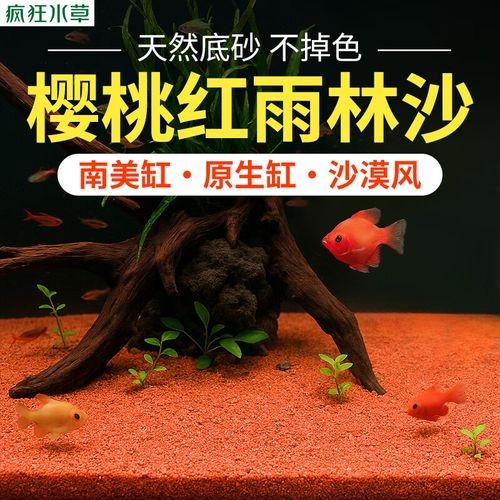 龍魚缸的底砂選擇 龍魚缸的底砂選擇 龍魚百科 第9張