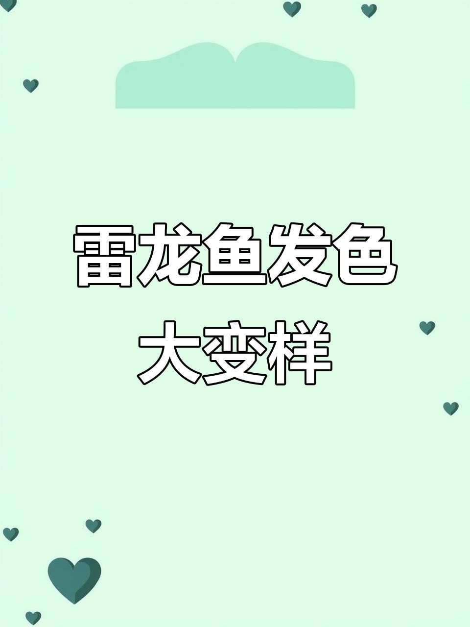 龍魚缸的底砂選擇 龍魚缸的底砂選擇 龍魚百科 第13張