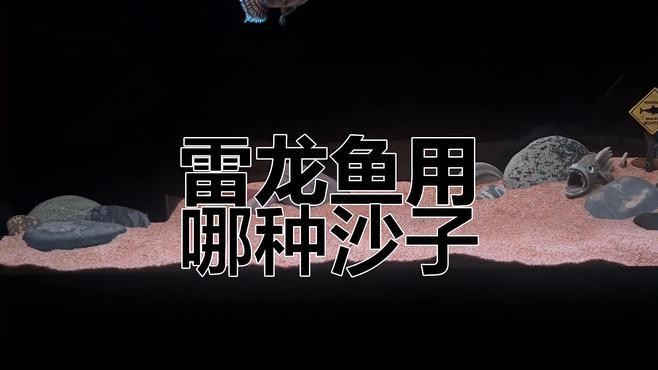 龍魚缸的底砂選擇 龍魚缸的底砂選擇 龍魚百科 第11張
