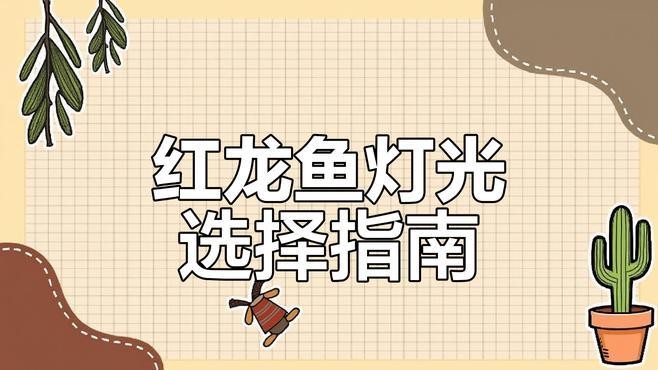 龍魚缸背景圖選擇什么顏色好看