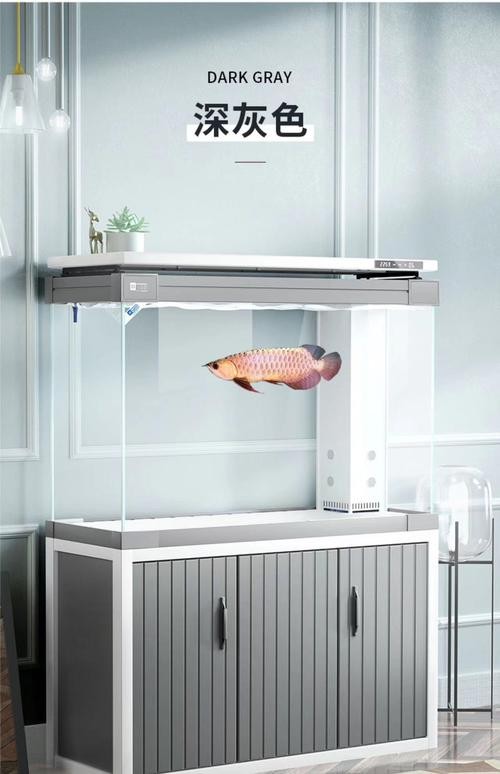 龍魚缸背景圖選擇什么顏色好看