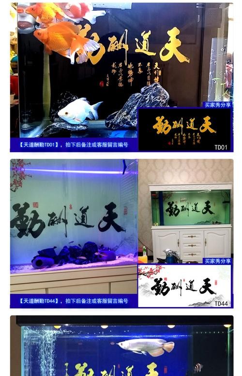 龍魚缸背景圖選擇什么顏色好看
