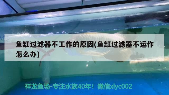章貢區(qū)有道水族館