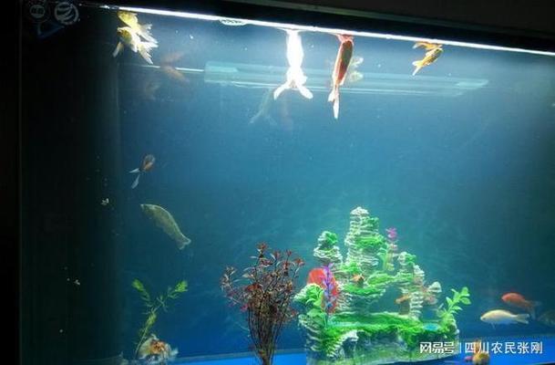 通遼市科爾沁區紅勝大街海水斯艾思水族館