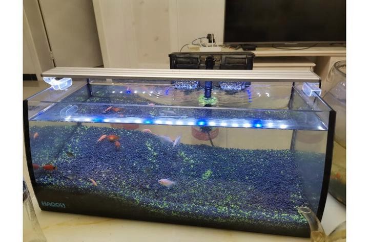 鑫海龍魚缸和西瑞爾那個質量好？