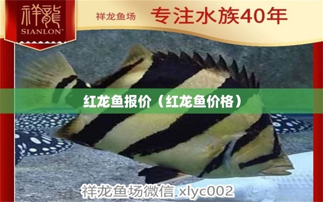 阿拉善左旗巴彥浩特鎮愛尚水藝生態水族館（阿拉善左旗尚水御都）