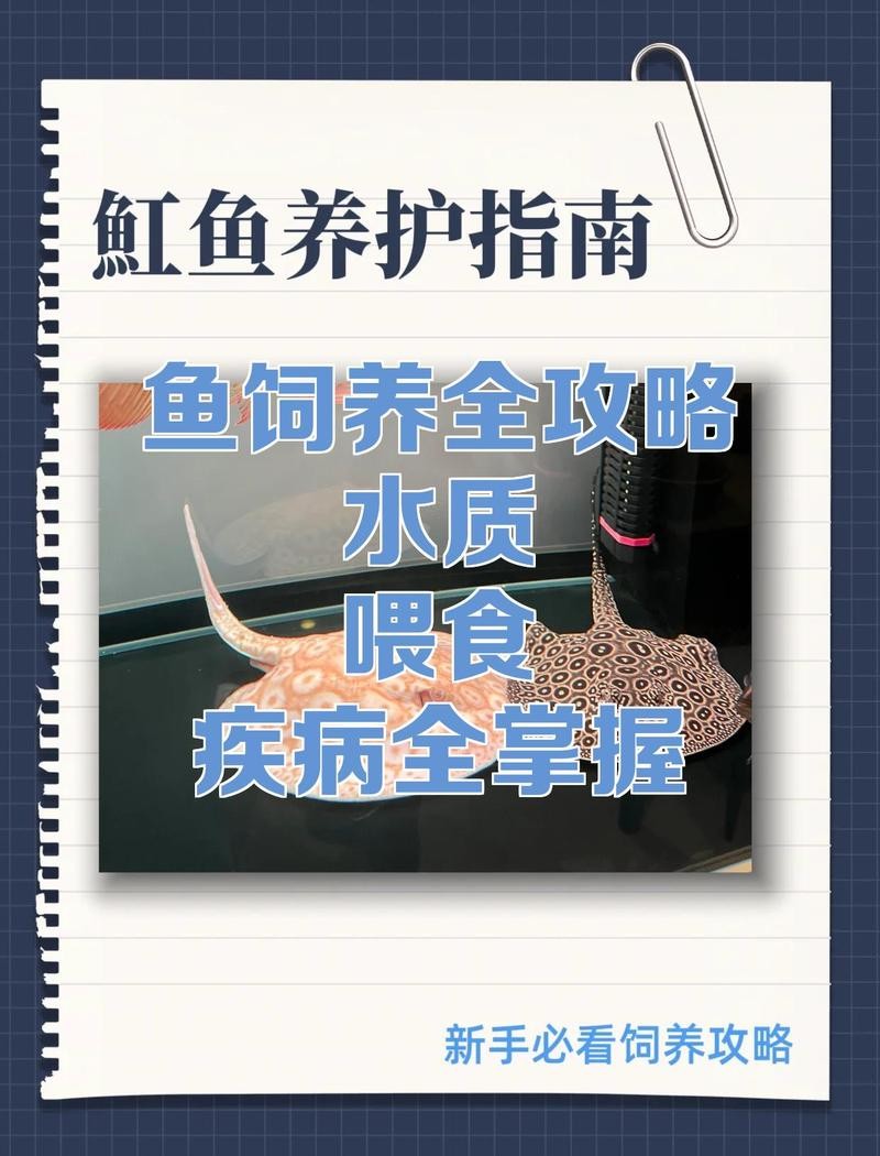 魟魚龍魚混養開燈問題