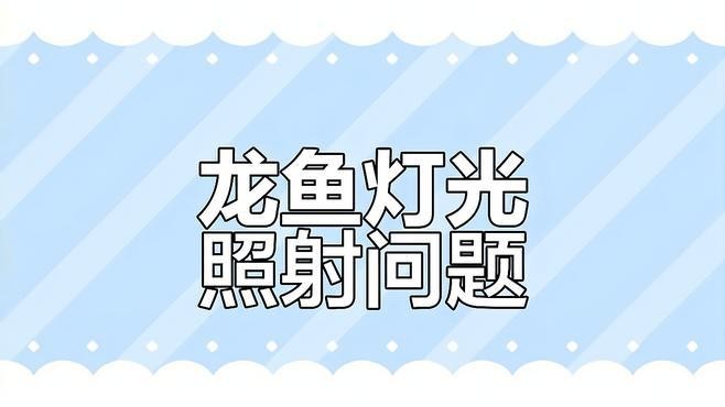 魟魚龍魚混養開燈問題