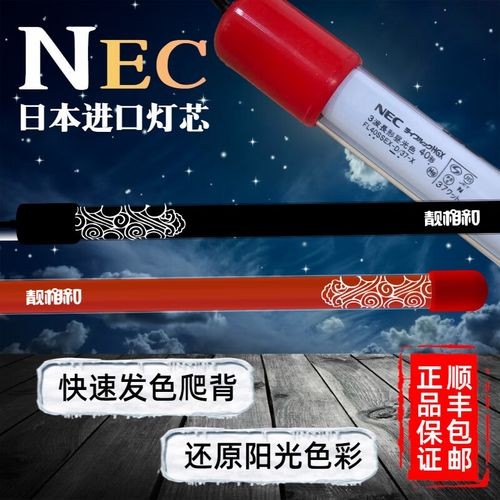 馬印固色燈6700K具體價格是多少？