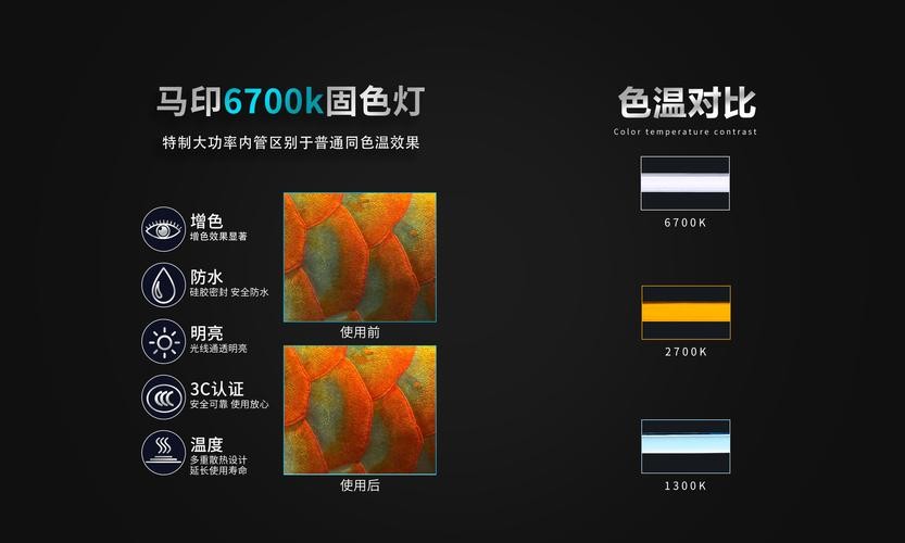 馬印固色燈6700K具體價格是多少？