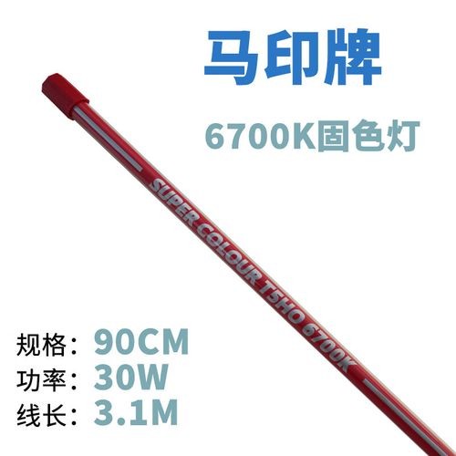 馬印固色燈6700K具體價格是多少？