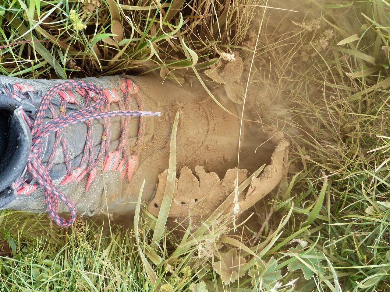 夢見龍魚死亡后多久財運會好轉？ 夢見龍魚死亡后多久財運會好轉？ 龍魚百科 第1張