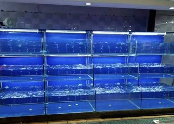 鸚鵡魚和銀龍魚混養怎樣喂食 汝州市海洋水族工藝品店(汝州市海洋水族工藝品店地址) 全國水族館企業名錄 汝州市海洋水族工藝品店(汝州市海洋水族工藝品店地址) 汝州市海洋水族工藝品店(汝州市海洋水族工藝品店地址) 全國水族館企業名錄