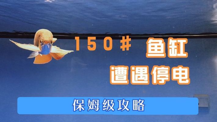 湖南圣瑪樂文旅體育發展有限公司（湖南圣瑪樂文旅體育發展有限公司怎么樣）