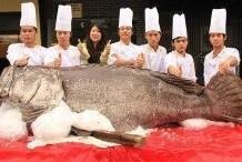 龍躉的壽命記錄最長是多少？