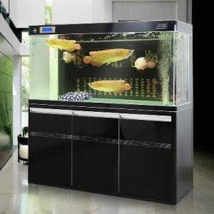 魚缸修理電話（如何判斷魚缸損壞程度）