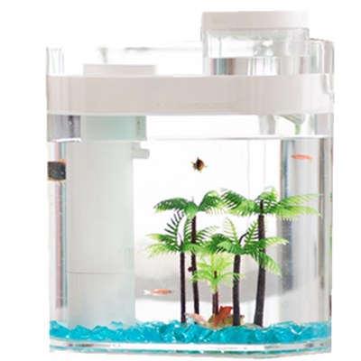 個舊市大自然水族經營部（2021年個舊大屯水景觀）