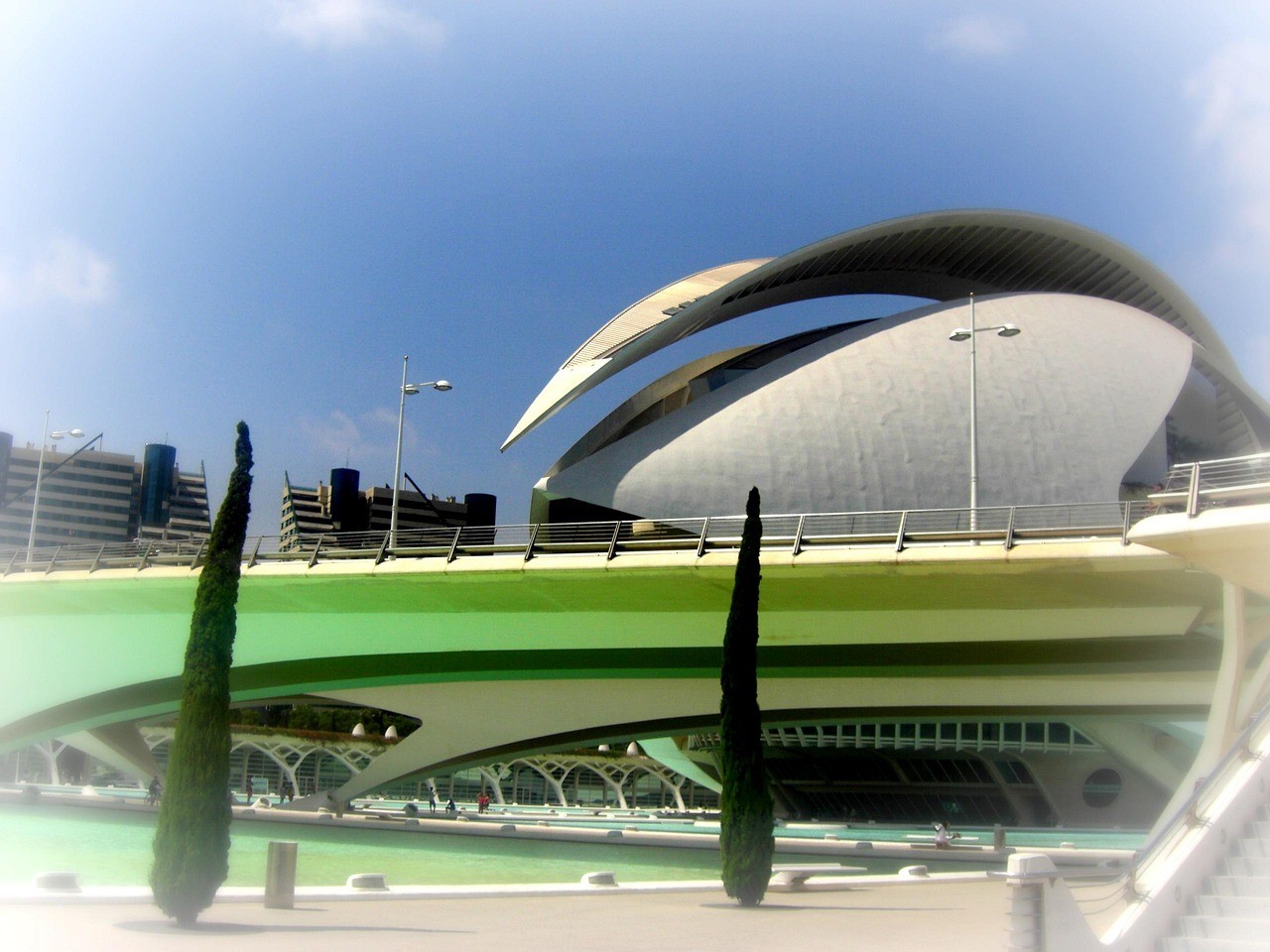 泉州市聚龍閣水族有限公司（泉州市聚龍閣水族有限公司電話）