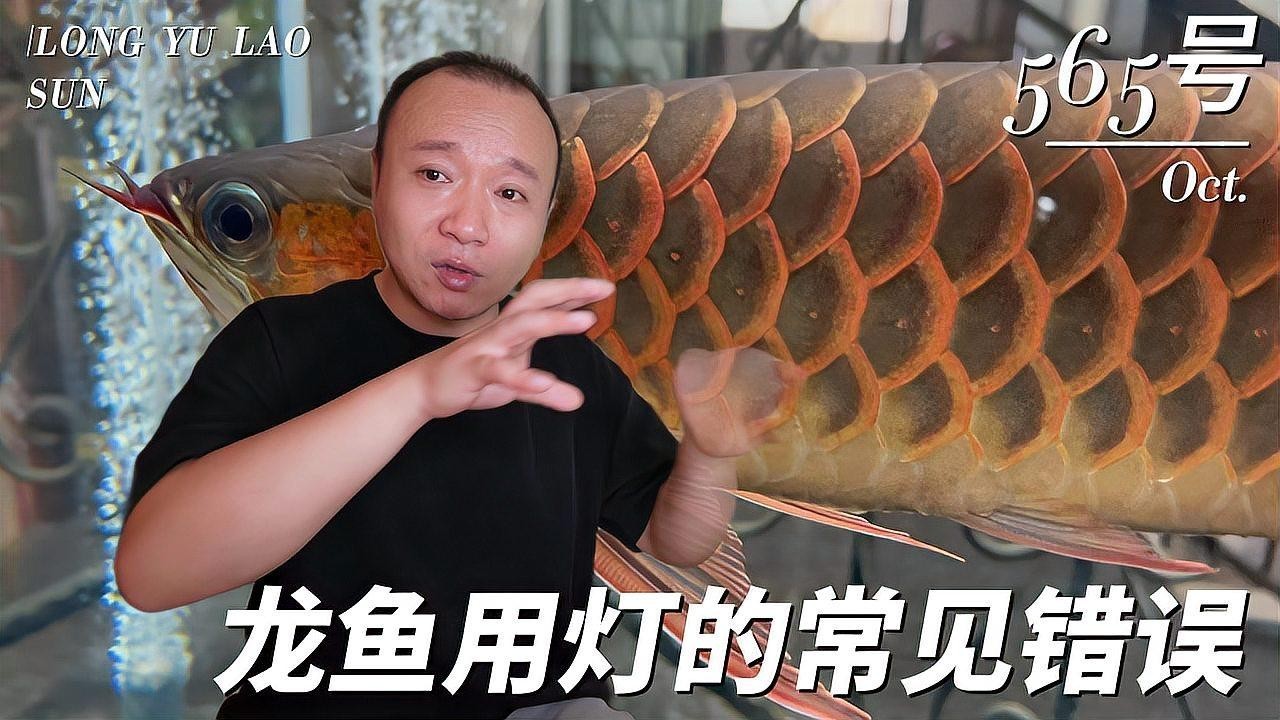 龍魚分類圖片大全大圖高清