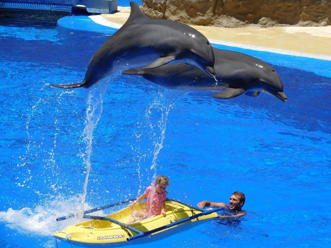神木市宋思圓水族館 （神木市宋思圓水族館地址）