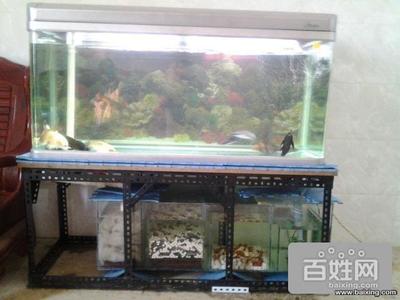 利川市玲兒水族館（利川市玲兒水族館電話）