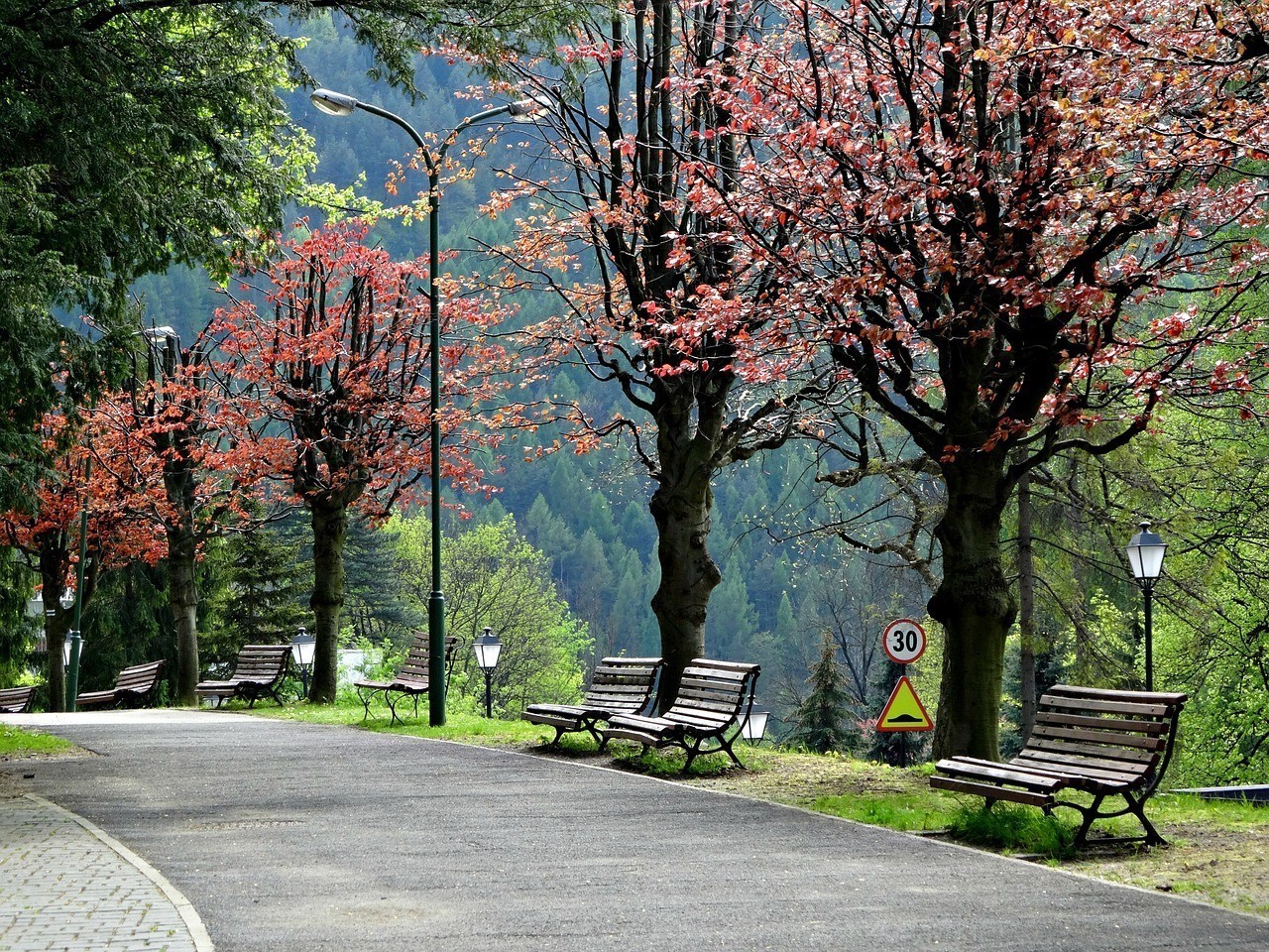 吉林金龍生態旅游服務有限公司（吉林金龍生態旅游服務有限公司怎么樣）