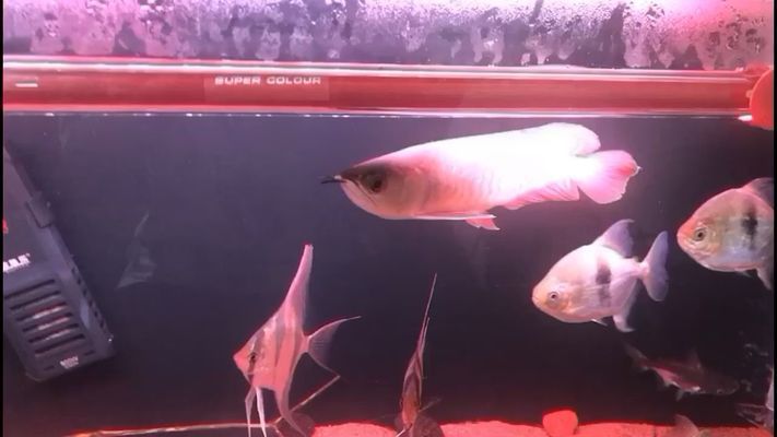 新鄭市薛店鎮(zhèn)鑫連心生活超市