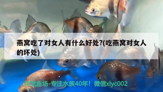 六盤水魚缸定制店（水產店魚缸定制）