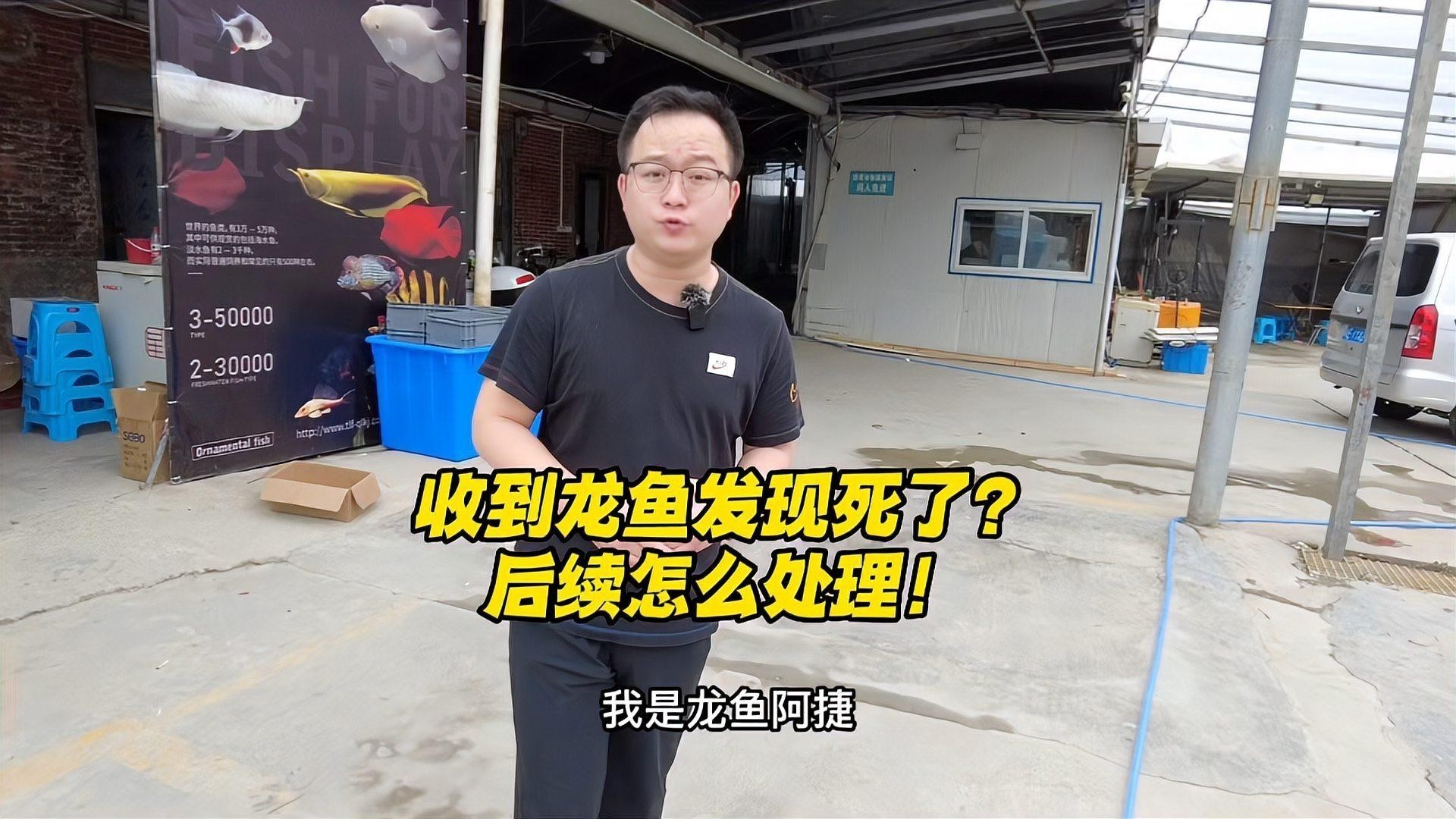 龍魚(yú)死亡后如何處理尸體？