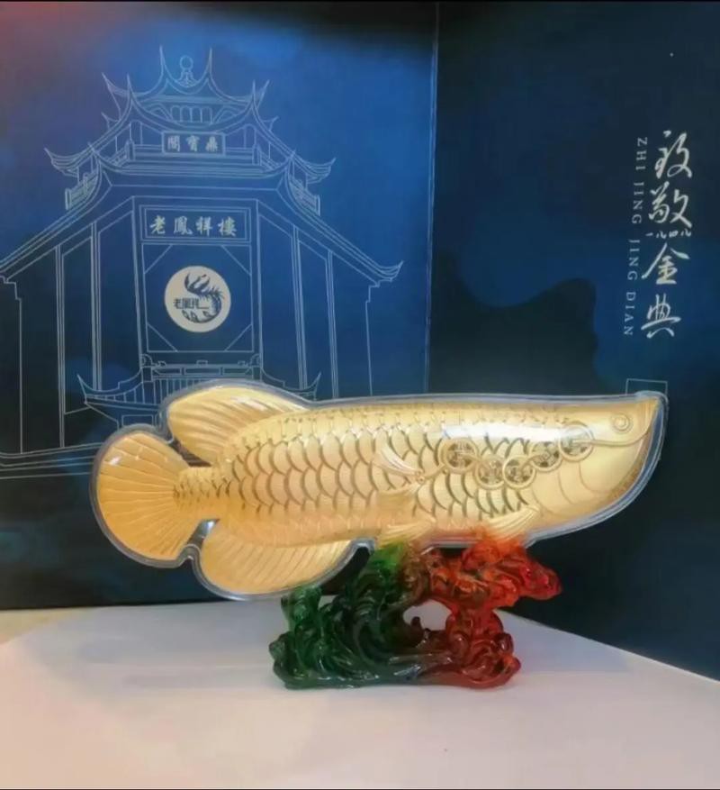 金龍魚有哪些產品圖片