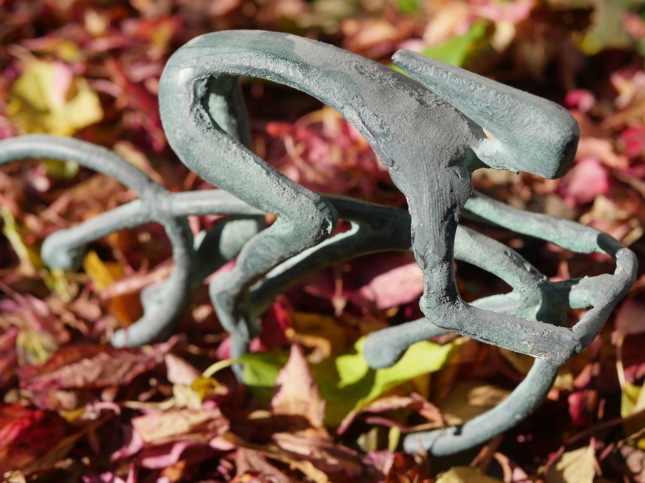 西吉縣澤豪花卉店