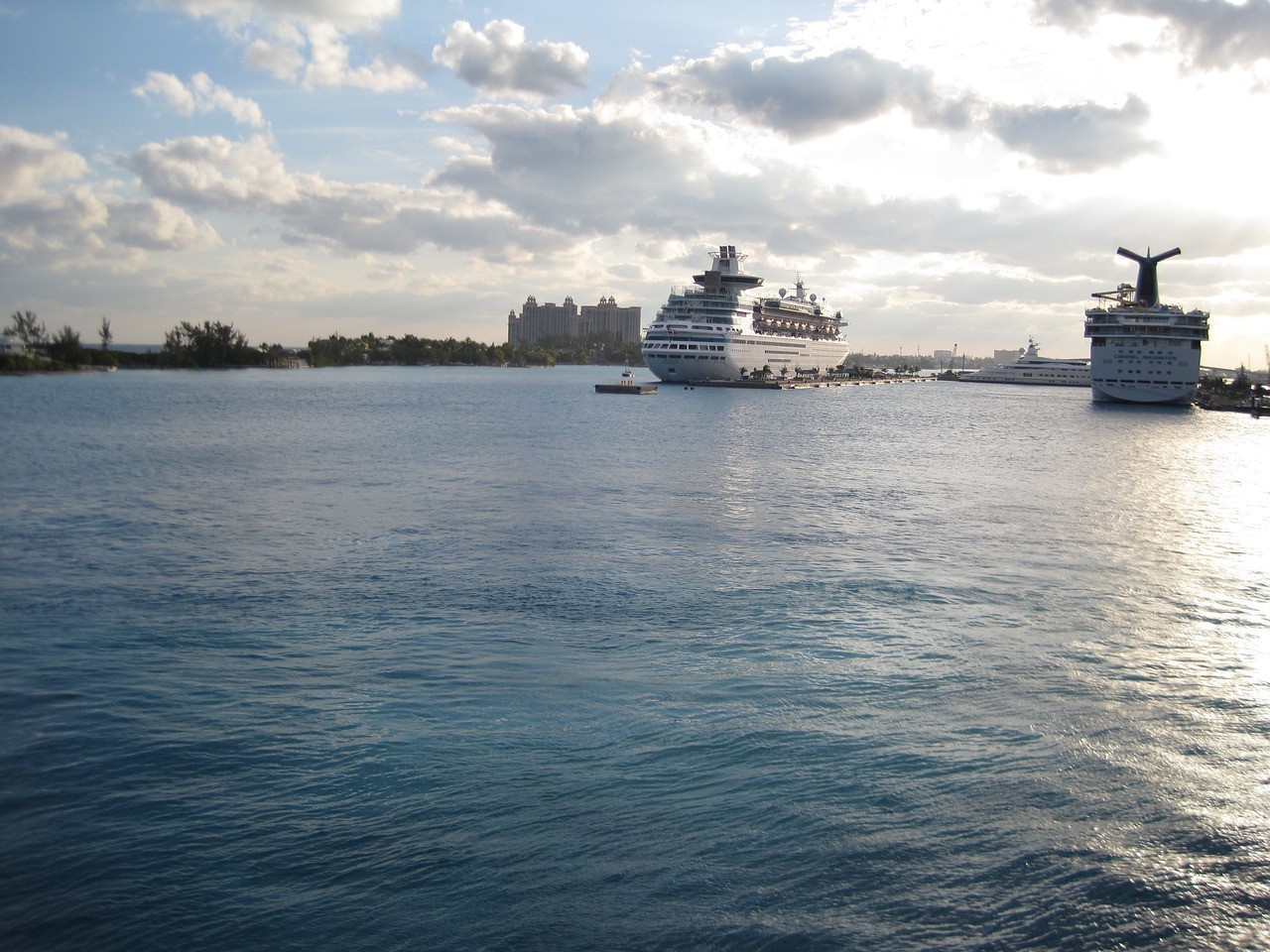 青島海尚云際海洋科技有限公司（青島海尚云際海洋科技有限公司怎么樣） 青島海尚云際海洋科技有限公司（青島海尚云際海洋科技有限公司怎么樣） 全國水族館企業(yè)名錄 第1張