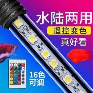 龍魚燈管的擺放位置對龍魚的生長和健康有著重要影響：龍魚燈管應該放在哪個位置