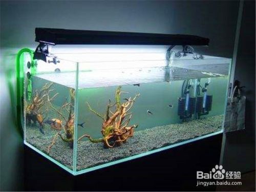 焦作市<strong><mark>解放</mark></strong>區(qū)豐收路魚(yú)緣閣（焦作市<strong><mark>解放</mark></strong>區(qū)豐收路魚(yú)緣閣飯店電話）