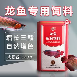 龍魚(yú)魚(yú)食品牌介紹文案范文怎么寫(xiě)：龍魚(yú)魚(yú)食品牌介紹文案范文