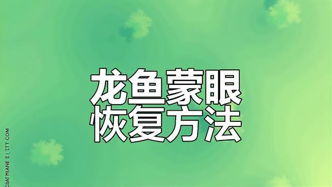 如何治療龍魚的蒙眼癥？ 如何治療龍魚的蒙眼癥？ 龍魚百科 第3張
