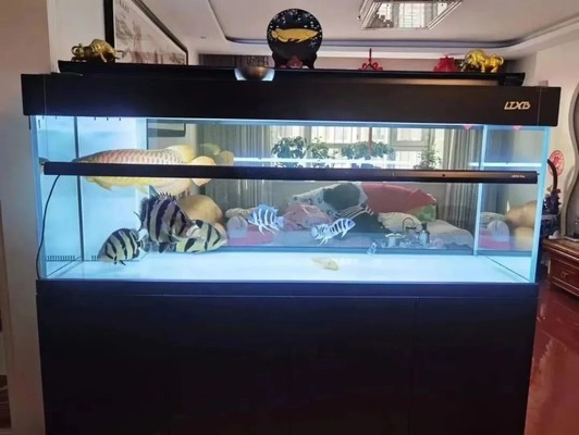 海勃灣區兩魚水族館（海勃灣區兩魚水族館電話）