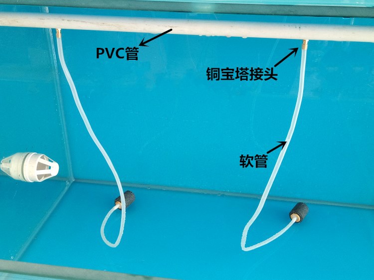 魚缸造景先放沙還是先放水(魚缸造景先鋪沙還是先放石頭) 哈爾濱市呼蘭區(qū)龐平幻彩魚糧商店(哈爾濱市呼蘭區(qū)龐平幻彩魚糧商店地址) 全國(guó)水族館企業(yè)名錄 哈爾濱市呼蘭區(qū)龐平幻彩魚糧商店(哈爾濱市呼蘭區(qū)龐平幻彩魚糧商店地址) 哈爾濱市呼蘭區(qū)龐平幻彩魚糧商店(哈爾濱市呼蘭區(qū)龐平幻彩魚糧商店地址) 全國(guó)水族館企業(yè)名錄