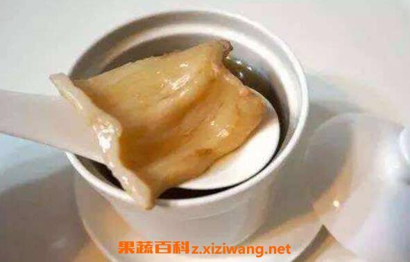 濮陽市華龍區八方來財水族館（濮陽市華龍區八方來財水族館電話） 濮陽市華龍區八方來財水族館（濮陽市華龍區八方來財水族館電話） 全國水族館企業名錄