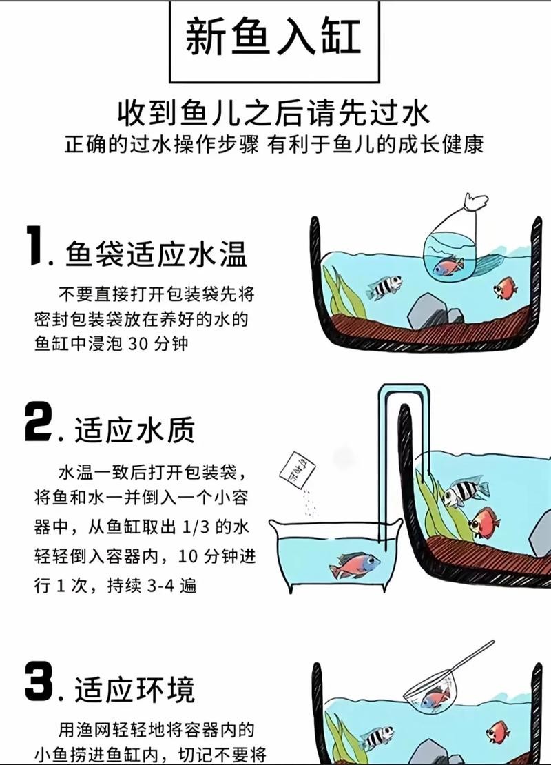 龍魚換缸后如何避免應激？