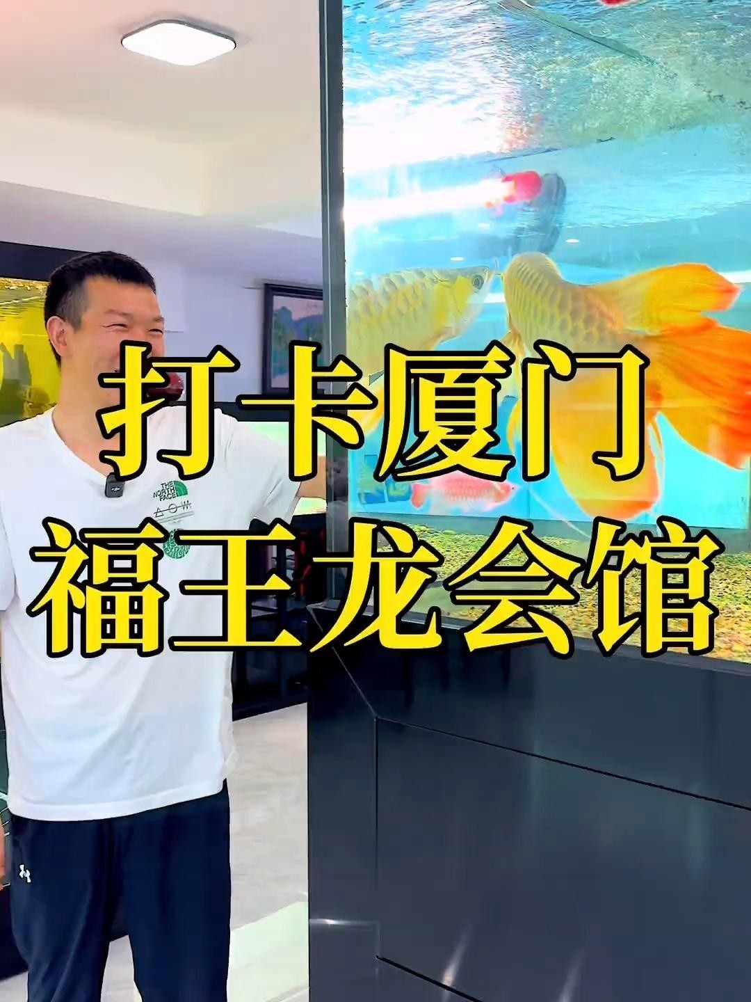龍魚換缸后如何避免應激？