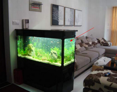 珠海市<strong><mark>香洲</mark></strong>珊海一族水族館（珠海市<strong><mark>香洲</mark></strong>珊海一族水族館地址）