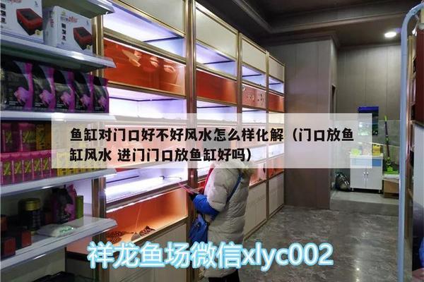 浙江鳳起花鳥城玥玥水族商行 浙江鳳起花鳥城玥玥水族商行 全國水族館企業名錄